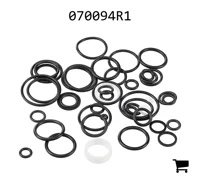 AGCO 070094R1 Ремкомплект