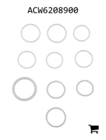 AGCO ACW6208900 Комплект уплотнений