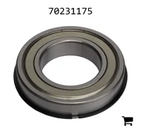 AGCO 70231175 Цилиндрический шариковый подшипник