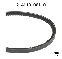 AGCO 2.4119.081.0 Ремень