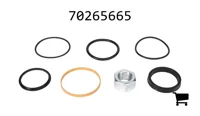 AGCO 70265665 Комплект уплотнений