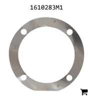 AGCO 1610283M1 Регулировочная шайба