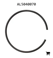AGCO AL5040070 Кольцо