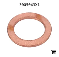 AGCO 3005043X1 Уплотнительное кольцо