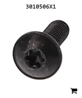 AGCO 3010506X1 Винт с полукруглой головкой