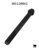 AGCO 3011200X1 Винт с 12-гранной головкой с фланцем