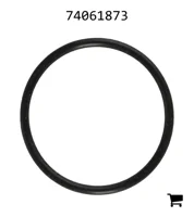 AGCO 74061873 Уплотнительное кольцо