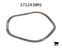 AGCO 3712430M1 Волнистая шайба