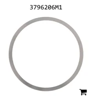 AGCO 3796206M1 Шайба