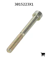 AGCO 3015223X1 Винт с цилиндрической головкой и шестигранным углублением
