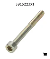 AGCO 3015223X1 Винт с цилиндрической головкой и шестигранным углублением