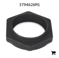AGCO 3794626M1 Специальная гайка