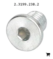 AGCO 2.3199.238.2 Заглушка