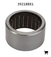 AGCO 392188X1 Игольчатый подшипник