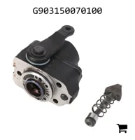 AGCO G903150070100 Цилиндр управления