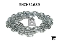 AGCO SNCH31689 Цепь