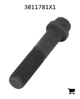 AGCO 3011781X1 Винт с 12-гранной головкой с фланцем