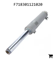 AGCO F718301121020 Рулевой цилиндр