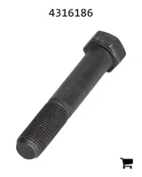 AGCO 4316186 Болт