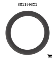 AGCO 3011903X1 Уплотнительное кольцо