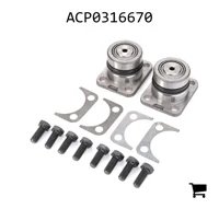 AGCO ACP0316670 Комплект запчастей для ремонта переднего моста AGCO