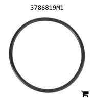 AGCO 3786819M1 Уплотнительное кольцо фильтра гидравлики