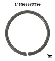 AGCO 145860030880 Стопорная шайба