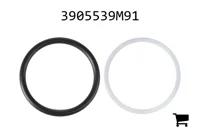 AGCO 3905539M91 Ремкомплект