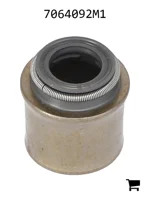 AGCO 7064092M1 Сальник клапана