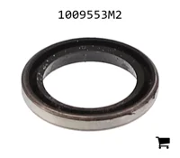 AGCO 1009553M2 Уплотнение