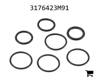 AGCO 3176423M91 Ремкомплект