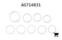 AGCO AG714831 Ремкомплект