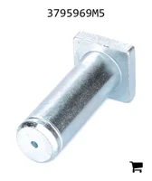 AGCO 3795969M5 Палец вилки