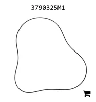 AGCO 3790325M1 Уплотнительное кольцо гидротрансформатора AGCO