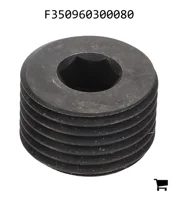 AGCO F350960300080 Ограничительная шайба