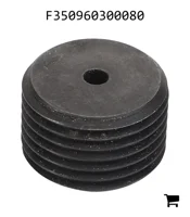 AGCO F350960300080 Ограничительная шайба