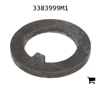 AGCO 3383999M1 Шайба