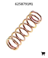 AGCO 6258791M1 Пружина