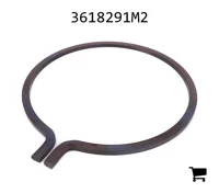 AGCO 3618291M2 Стопорное кольцо