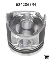 AGCO 6242065M4 Поршень