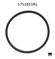 AGCO 1751815M1 Прокладка