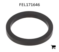 AGCO FEL171646 Уплотнительная шайба