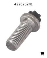 AGCO 4226252M1 Винт