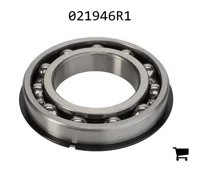 AGCO 021946R1 Подшипник