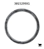 AGCO 3015299X1 Уплотнительное кольцо