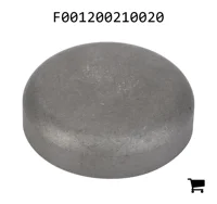 AGCO F001200210020 Крышка