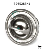 AGCO 3905283M1 Термостат