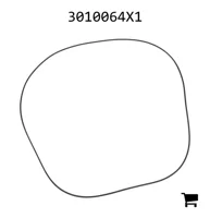 AGCO 3010064X1 Уплотнительное кольцо заднего моста, Ø 378,00 x 3,00 мм