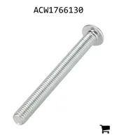 AGCO ACW1766130 Винт с цилиндрической головкой