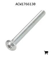 AGCO ACW1766130 Винт с цилиндрической головкой